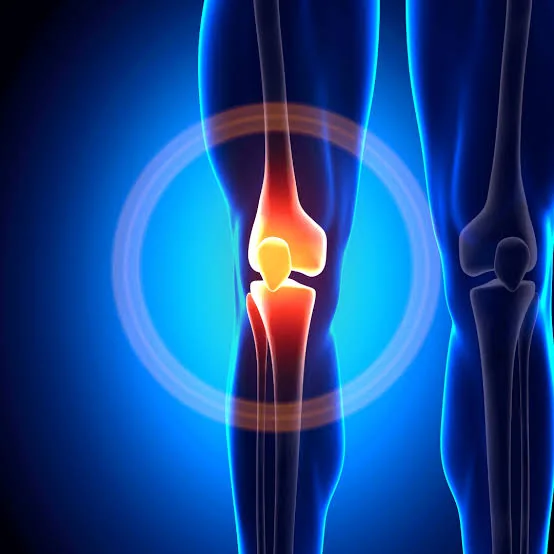 Medical illustration highlighting a knee joint in red against a blue background.